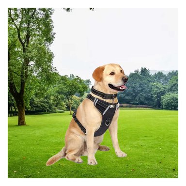 PECHERA PERROS MA30091 RYBIU PARA CANES CON FORRO SUAVE S NEGRO Y+PAPEL DE REGALO