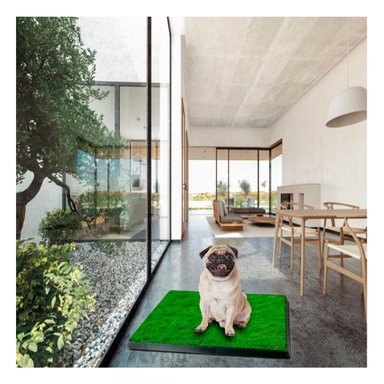 BAÑO PERRO RYBIU MA31006 CÉSPED ARTIFICIAL TALLA M NEGRO