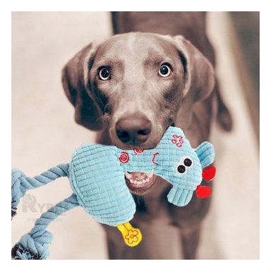 JUGUETE PERRO FELPA MA31116 RYBIU TRAPO CELESTE Y STICKERS