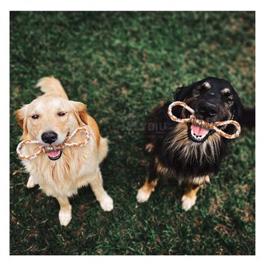 CUERDA DINAMICA CON 4 LAZOS EN ANARANJADO Y+PAPEL DE REGALO