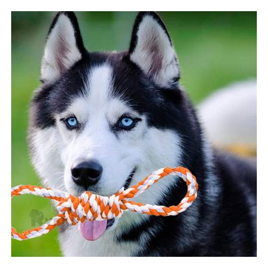 CUERDA ANTIDESGASTE PARA PERROS ANARANJADO Y+REGALO AGENDITA