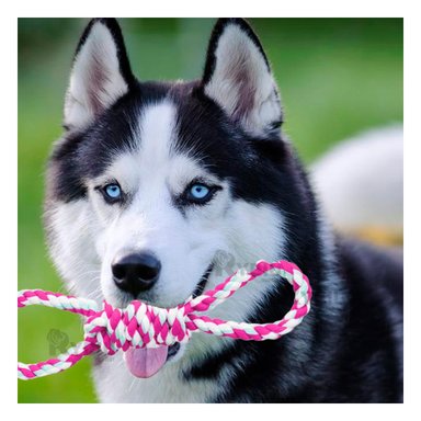 CUERDA PERRO MA31099 RYBIU ANTIESTRES PARADE ROSADO Y STICKERS