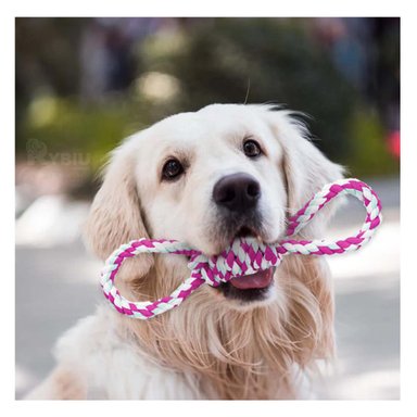 CUERDA PERRO MA31099 RYBIU RESISTENTE ROSADO Y PAPEL DE REGALO