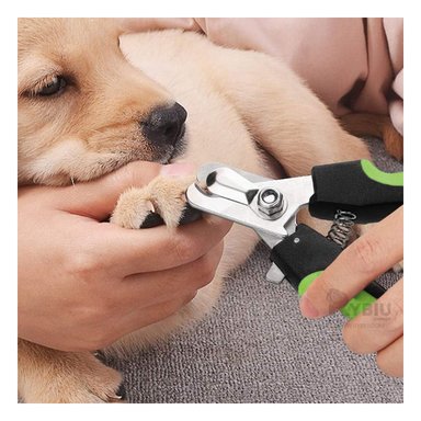 CORTAUÑAS PERRO Y GATO RYBIU MA31085 PET CON LIMA DE ACERO VERDE TALLA L