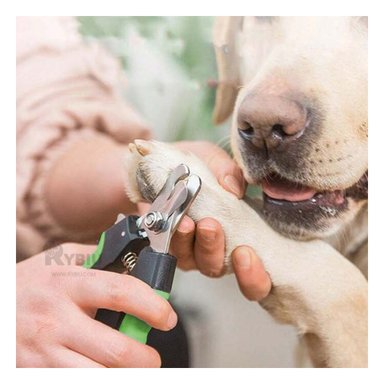 CORTAUÑAS PERRO Y GATO RYBIU MA31085 FACIL DE USAR TALLA L + PAPEL DE REGALO