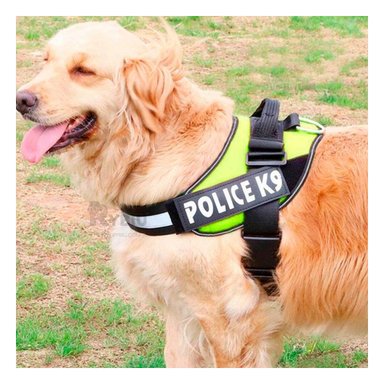 ARNÉS PERROS MA30969 RYBIU DE SEGURIDAD TALLA S ANARANJADO Y+PAPEL DE REGALO