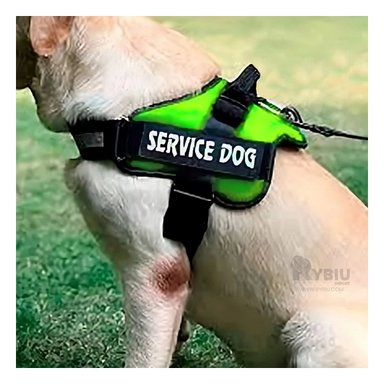 ARNÉS PERROS MA30969 RYBIU SOPORTE CANINO TALLA S ANARANJADO Y+STICKERS