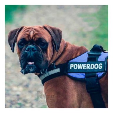 ARNÉS PERROS MA30972 RYBIU DE ALTA RESISTENCIA TALLA S AZUL + PAPEL DE REGALO