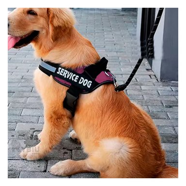 ARNÉS PERROS MA30975 RYBIU SERVICE EN TALLA S DE COLOR ROSADO