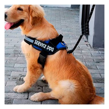 ARNÉS PERROS MA30972 RYBIU CANINO PROFESIONAL TALLA S DE COLOR AZUL Y+AGENDITA