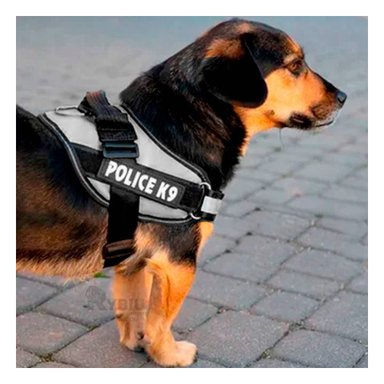 PECHERA PERROS MA30974 RYBIU TACTICA DE ENTRENAMIENTO EN NEGRO