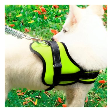 PECHERA PERROS MA30976 RYBIU TACTICA ENTRENAMIENTO TALLA S EN VERDE