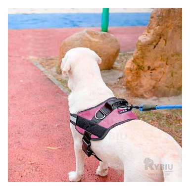 ARNÉS PERROS MA30975 RYBIU COMODO DE COLOR ROSADO Y+PAPEL DE REGALO