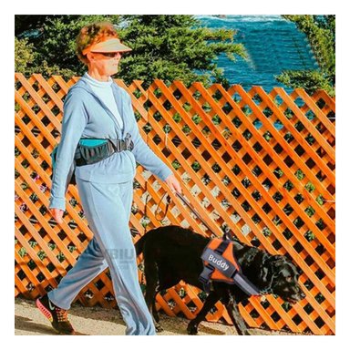 ARNÉS PERROS MA1830 RYBIU DE SEGURIDAD TALLA S ANARANJADO Y+PAPEL DE REGALO