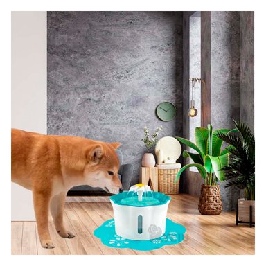 FUENTE GATO MA31420 AUTOMÁTICA Y COMODA TONO VERDE Y STICKERS 2.5 LT RYBIU