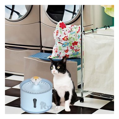 BEBEDERO ACERO INOXIDABLE PERRO Y GATO MA31409 FUENTE ÚTIL MASCOTA CELESTE GRIS Y STICKERS RYBIU