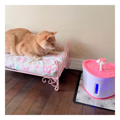 BEBEDERO PERRO Y GATO MA31415 FUENTE FÁCIL UTILIZAR Y LAVABLE COLOR ROSADO Y AGENDITA RYBIU