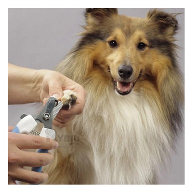 CORTAUÑAS PERRO Y GATO RYBIU MA31095 CORTAUÑA PET CON LIMA Y MANGO CURVO CHICO CELESTE