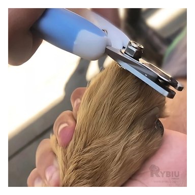 CORTAUÑAS PERRO Y GATO RYBIU MA31094 PET CON LIMA Y MANGO CURVO CHICO DE AZUL