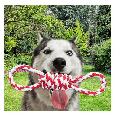 CORTAUÑAS PET CON LIMA Y MANGO CURVO GRANDE EN ROJO