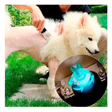 KIT PELUQUERÍA PERRO Y GATO RYBIU 6680 CORTAPELO PARA CUALQUIER RAZA DE DORADO + AGENDITA