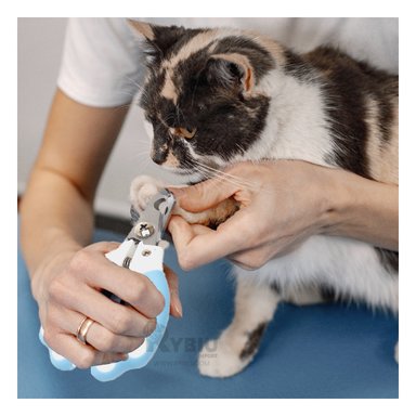 CORTAUÑAS PERRO Y GATO RYBIU MA31095 FACIL USO PEQUENO DE CELESTE + AGENDITA