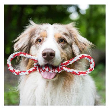 CORTAUÑAS MULTIFUNCIONAL GRANDE ROJO Y+REGALO STICKERS