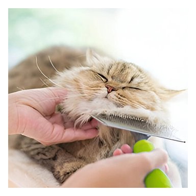 PEINE PERRO Y GATO RYBIU MA31225 TA VERSATIL Y DURADERO VERDE + STICKERS - 5