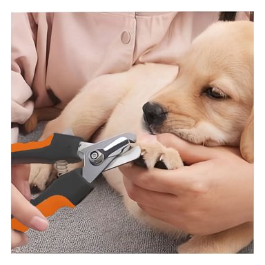 KIT PELUQUERÍA PERRO Y GATO RYBIU MA31082 CORTAUÑA PRACTICO DE CANINO ANARANAJDO + STICKERS - 5