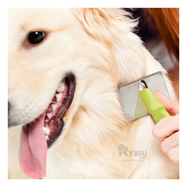 PEINE PERRO Y GATO RYBIU MA31225 TA PORTATIL PET PARA PELO TONO VERDE + AGENDITA