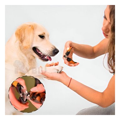 KIT PELUQUERÍA PERRO Y GATO RYBIU MA31082 CORTAUÑA DURADERA PET TALLA L ANARANJADO