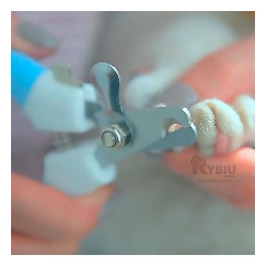 CORTAUÑAS PERRO Y GATO RYBIU MA31096 MULTIFUNCIONAL GRANDE DE CELESTE + STICKERS