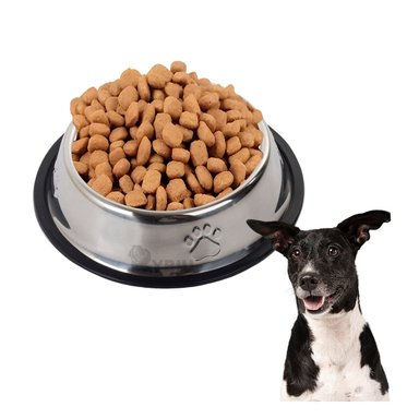 PLATO ACERO PERRO MA31275 MASCOTA DISEÑO HUELLAS TALLA XXL RYBIU