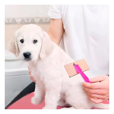 PEINE PERRO Y GATO RYBIU MA31229 TA DE MADERA DURADERO FUCSIA + PAPEL DE REGALO - 2
