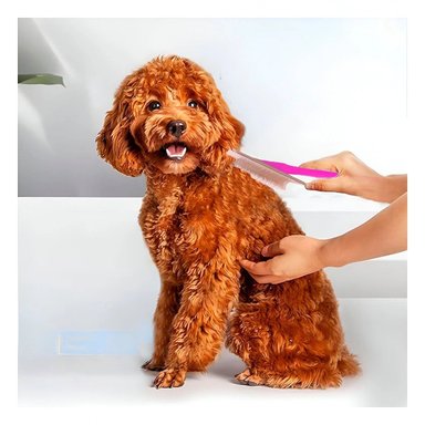 PEINE PERRO Y GATO RYBIU MA31229 TA DE MADERA DURADERO FUCSIA + PAPEL DE REGALO - 3