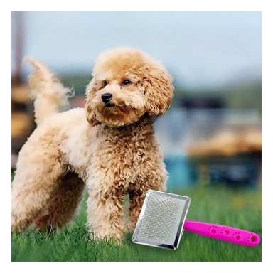 PEINE PERRO Y GATO RYBIU MA31229 TA DE MADERA DURADERO FUCSIA + PAPEL DE REGALO - 5