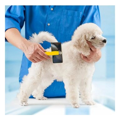 PEINE PERRO Y GATO RYBIU MA31227 TA VERSATIL Y DURADERO AMARILLO + STICKERS - 2