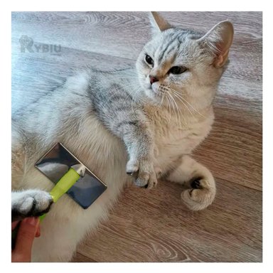 PEINE PERRO Y GATO RYBIU MA31228 TA PORTATIL PET PARA PELO TONO VERDE + AGENDITA