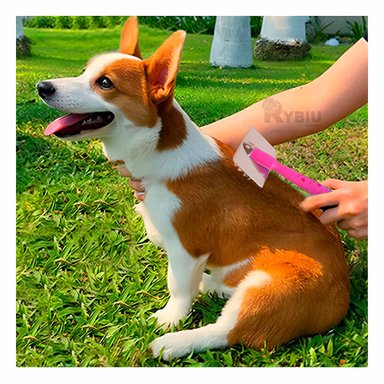 PEINE PERRO Y GATO RYBIU MA31229 TA VERSATIL Y DURADERO FUCSIA + STICKERS