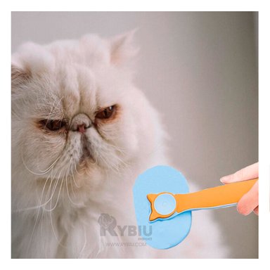 CEPILLO GATO RYBIU MA29961 ASEO FELINOS TONO NARANJA + PAPEL REGALO MANGO ANTIDESLIZANTE CELESTE