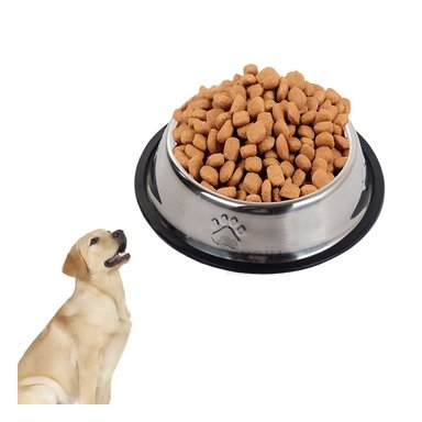 PLATO ACERO PERRO MA31276 HUELLITAS MASCOTA TALLA XXXL Y STICKERS RYBIU