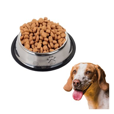 PLATO ACERO PERRO MA31275 VERSÁTIL FORMA HUELLA TALLA XXL Y PAPEL REGALO RYBIU