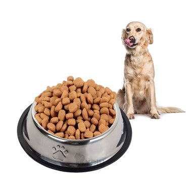 PLATO ACERO PERRO MA31276 PET ALIMENTO SECOS TALLA XXXL Y AGENDITA RYBIU