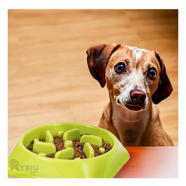 PLATO PERRO MA31311 MASCOTA EFICAZ COLOR VERDE Y PAPEL REGALO RYBIU