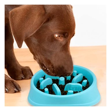 PLATO PERRO MA31308 MASCOTA EFICAZ COLOR CELESTE Y PAPEL REGALO RYBIU