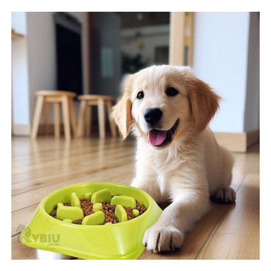 PLATO PERRO MA31311 RESISTENTE COMER COLOR VERDE Y AGENDITA RYBIU