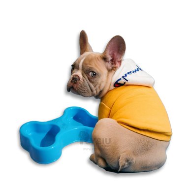 PLATO PERRO Y GATO MA31292 DUO COMPACTO HUESO COLOR CELESTE Y STICKERS RYBIU