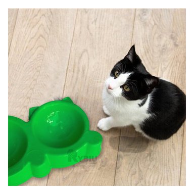 PLATO GATO MA31286 DOBLE COMPARTIMIENTO VERDE Y AGENDITA RYBIU