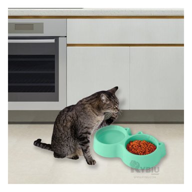 PLATO GATO MA31286 DOBLE COMPARTIMIENTO VERDE Y AGENDITA RYBIU