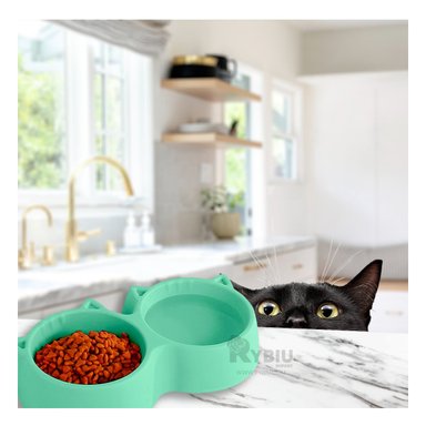 PLATO GATO MA31286 RESISTENTE DOBLE VERDE Y PAPEL REGALO RYBIU